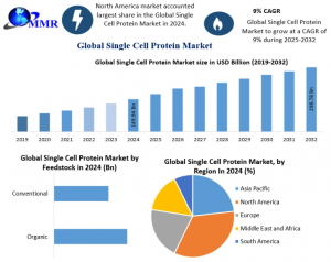 Single Cell Protein Industry Growth Analysis: Industry Size, Key Trends & Forecast 2025–2032