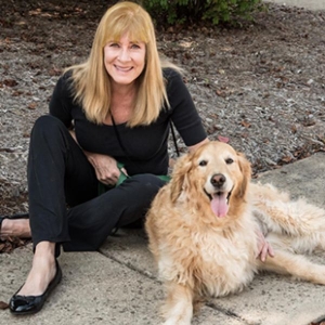 Should You Hire a Cat Sitter or Use a Boarding Service?