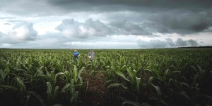 From Monsoon: A Farmer’s Year in India