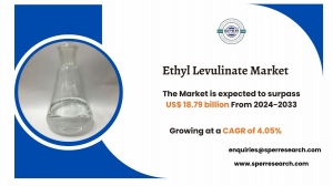 Regional Insights on Ethyl Levulinate Market Size and Growth