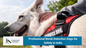 Professional Bomb Detection Dogs for Safety in India