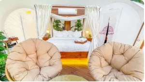 LuxeGlamp - Retreat to the Hills: A Luxurious Glamping Experience in Munnar