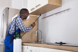Pest Control Service in Cleveland - Kreshco Pest Control