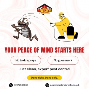Residential Pest Control and Wasp Removal Services in Northern Ireland