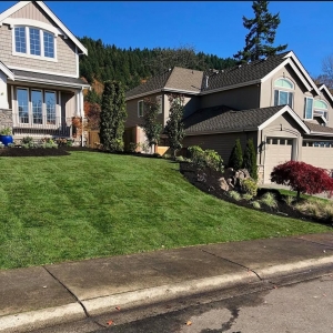 Eco-Friendly Outdoor Living: Sustainable Design Ideas for Halton