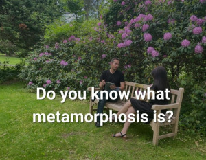 The Mindset Metamorphosis: How to Embrace Change and Thrive