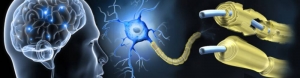 Emerging Opportunities and Growth in Multiple Sclerosis Therapeutics Market