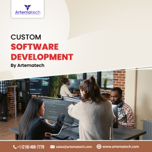 Why Custom Software Development Services Need