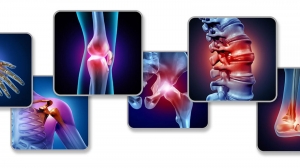 Understanding Rheumatology: A Key to Joint and Autoimmune Health