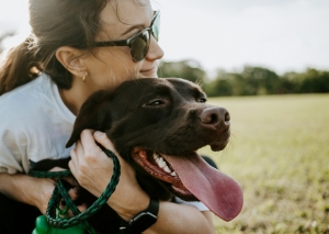 SPLIT VS. WHOLE ELK ANTLERS: WHICH ONE IS BEST FOR YOUR DOG?