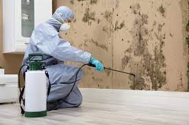 Finding And Hiring Professional Mold Remediation Services