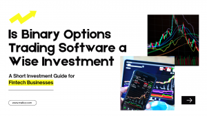 Is Binary Options Trading Software a Wise Investment For  Fintech Businesses?