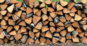 Wisconsin Firewood: Heating Homes Naturally