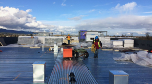 Maintenance Tips to Extend the Life of Your Commercial Roof