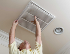 Ventilation Service for Pet Owners: What You Need to Know