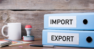 Master the Market: What You’ll Really Learn in an Import & Export Course