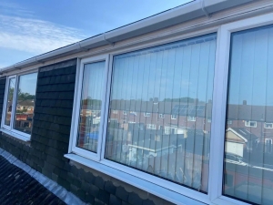 Fascia and Soffit Cleaning
