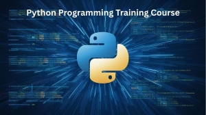 What Skills Will You Learn in a Python Programming Training Course?