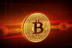 IBM Blockchain Platform for Transparent Traceability