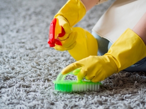 Eco-Friendly Home Cleaning with Green Cleaners in Nashville