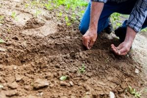 Don't Just Dabble - Dive Deep Into Your Hobby With These Strategies