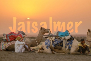 Why You Should Try a Camel Safari in Jaisalmer