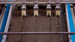 Sludge Treatment Chemicals Market Size, Trends, and Growth Forecast 2025-2032