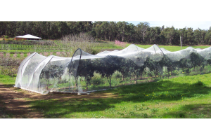 Tips for Maximising Water Coverage with Sprinklers on Large Farms