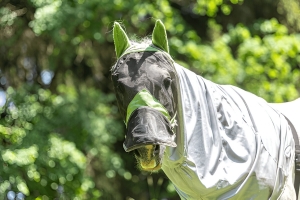 The Ultimate Guide to Choosing the Ideal Summer Horse Rugs