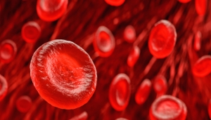 Alpha Thalassemia Market Size, Trends, and Growth Forecast 2025-2032