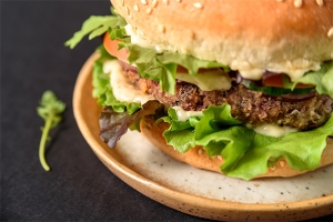 Flavor Modulator Market Demand, Size, Share, Forecast Report by 2025-2033