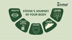 How Stevia Sugar free Sweetener Works in the Body? Surprising Facts You Must Know!