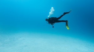 Discover the Best Season to Dive in Bali 