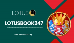 Blackjack Breaks and Sports Chases: A Day on LotusBook247