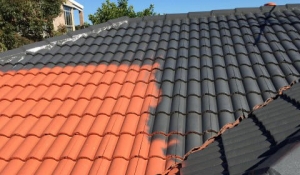 2033, Asia Pacific Liquid Roofing Market Trends, Size, Share Report by Reports and Insights