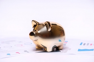 What's Fueling the Spike in Bankruptcy Filings? Inflation&Tariffs May Be the Cause