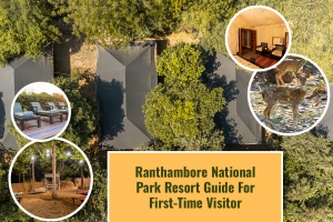 Your Guide to the Best Luxury Resort Stay in Ranthambore, Rajasthan