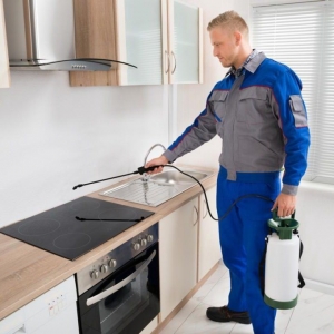 Stop Infestations Fast with Grand Prairie’s Leading Pest Control Experts