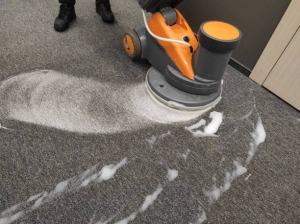 Restore Your Carpets with Elkridge’s #1 Cleaning Team