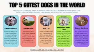 Top 5 Cutest Dog Breeds in The world