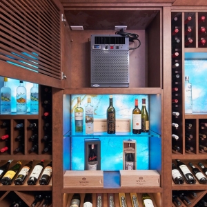 Choosing the Perfect Small Wine Cellar Cooling Unit: A Guide by Wine Appreciation