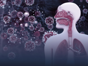 Understanding Common Respiratory Disorders: Symptoms, Causes, and Treatments