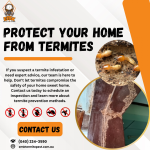 DIY vs Professional Termite Treatments: Which Is More Effective?