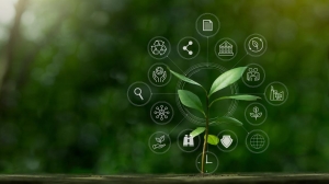 The New Era of Storytelling: How Design-Driven ESG Reports Are Winning Stakeholder Trust