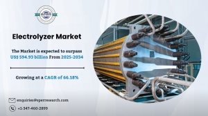Electrolyzer Market Size, Share And Trends Report, 2034