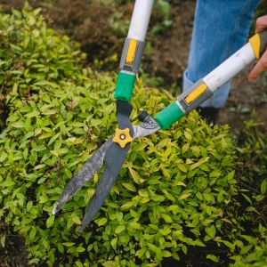 What Makes HOA Landscaping Different from Regular Landscaping?