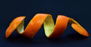 Products from Food Waste Market | Size and Share, Analysis, Growth by 2025-2033