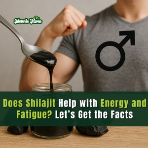 Does Shilajit Help with Energy and Fatigue? Let’s Get the Facts