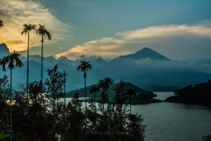 3 Days in Kerala: What You Can’t Miss