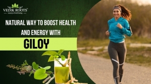 Natural Way to Boost Health and Energy with Giloy